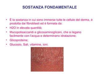 SOSTANZA FONDAMENTALE È la sostanza in cui sono immerse tutte le cellule del derma, è prodotta dai fibroblasti ed è formata da: H2O in elevata quantità; Mucopolisaccaridi e glicosaminoglicani, che si legano facilmente con l’acqua e determinano idratazione; Glicoproteine; Glucosio, Sali, vitamine, ioni. 