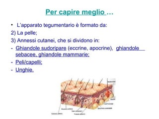 Per capire meglio  … L’apparato tegumentario è formato da: La pelle; Annessi cutanei, che si dividono in: -  Ghiandole sudoripare  (eccrine, apocrine),  ghiandole  sebacee, ghiandole mammarie; - Peli/capelli; - Unghie. 