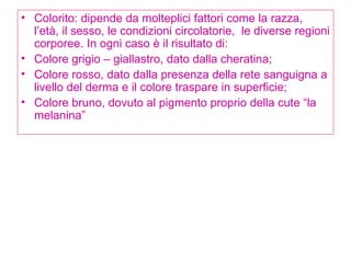 Colorito: dipende da molteplici fattori come la razza, l’età, il sesso, le condizioni circolatorie,  le diverse regioni corporee. In ogni caso è il risultato di: Colore grigio – giallastro, dato dalla cheratina; Colore rosso, dato dalla presenza della rete sanguigna a livello del derma e il colore traspare in superficie; Colore bruno, dovuto al pigmento proprio della cute “la melanina”  