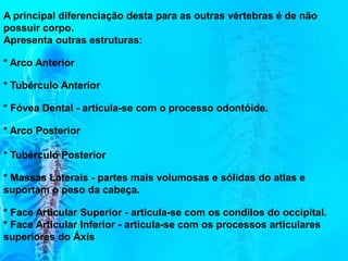 A principal diferenciação desta para as outras vértebras é de não
possuir corpo.
Apresenta outras estruturas:
* Arco Anterior
* Tubérculo Anterior
* Fóvea Dental - articula-se com o processo odontóide.
* Arco Posterior
* Tubérculo Posterior
* Massas Laterais - partes mais volumosas e sólidas do atlas e
suportam o peso da cabeça.
* Face Articular Superior - articula-se com os condilos do occipital.
* Face Articular Inferior - articula-se com os processos articulares
superiores do Áxis
 