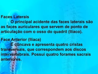 Faces Laterais
O principal acidente das faces laterais são
as faces auriculares que servem de ponto de
articulação com o osso do quadril (Ilíaco).
Face Anterior (Ilíaca)
É côncava e apresenta quatro cristas
transversais, que correspondem aos discos
intervertebrais. Possui quatro forames sacrais
anteriores.
 