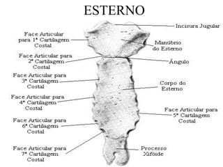 ESTERNO
 