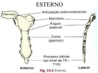 ESTERNO
 