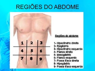 REGIÕES DO ABDOME
 