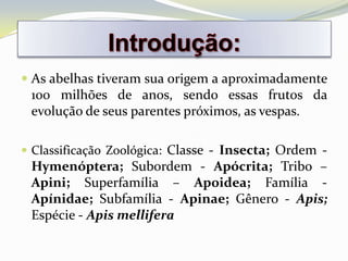  As abelhas tiveram sua origem a aproximadamente
  100 milhões de anos, sendo essas frutos da
 evolução de seus parentes próximos, as vespas.

 Classificação Zoológica: Classe - Insecta; Ordem -
 Hymenóptera; Subordem - Apócrita; Tribo –
 Apini; Superfamília – Apoidea; Família -
 Apínidae; Subfamília - Apinae; Gênero - Apis;
 Espécie - Apis mellifera
 