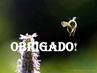 OBRIGADO!
 