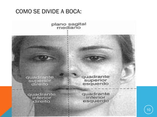 COMO SE DIVIDE A BOCA:

10

 