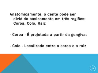 Anatomicamente, o dente pode ser
dividido basicamente em três regiões:
Coroa, Colo, Raiz
- Coroa - É projetada a partir da gengiva;
- Colo - Localizado entre a coroa e a raiz

14

 