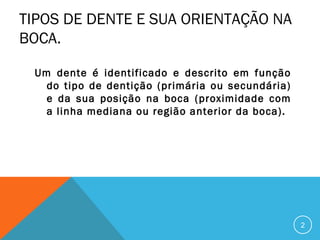 TIPOS DE DENTE E SUA ORIENTAÇÃO NA
BOCA.
Um dente é identificado e descrito em função
do tipo de dentição (primária ou secundária)
e da sua posição na boca (proximidade com
a linha mediana ou região anterior da boca).

2

 