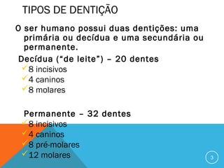 TIPOS DE DENTIÇÃO
O ser humano possui duas dentições: uma
primária ou decídua e uma secundária ou
permanente.
Decídua (“de leite”) – 20 dentes
8 incisivos
4 caninos
8 molares
Permanente – 32 dentes
8 incisivos
4 caninos
8 pré-molares
12 molares

3

 