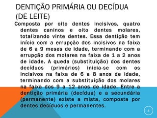DENTIÇÃO PRIMÁRIA OU DECÍDUA
(DE LEITE)

Composta por oito dentes incisivos, quatro
dentes caninos e oito dentes molares,
totalizando vinte dentes. Essa dentição tem
início com a errupção dos incisivos na faixa
de 6 a 9 meses de idade, terminando com a
errupção dos molares na faixa de 1 a 2 anos
de idade. A queda (substituição) dos dentes
decíduos (primários) inicia-se com os
incisivos na faixa de 6 a 8 anos de idade,
terminando com a substituição dos molares
na faixa dos 9 a 12 anos de idade. Entre a
dentição primária (decídua) e a secundária
(permanente) existe a mista, composta por
dentes decíduos e permanentes.  
4

 
