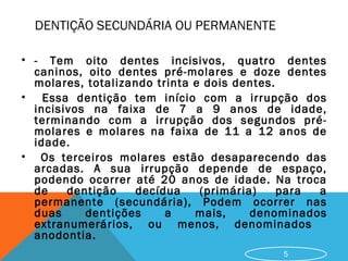 DENTIÇÃO SECUNDÁRIA OU PERMANENTE
• - Tem oito dentes incisivos, quatro dentes
caninos, oito dentes pré-molares e doze dentes
molares, totalizando trinta e dois dentes.
• Essa dentição tem início com a irrupção dos
incisivos na faixa de 7 a 9 anos de idade,
terminando com a irrupção dos segundos prémolares e molares na faixa de 11 a 12 anos de
idade.
• Os terceiros molares estão desaparecendo das
arcadas. A sua irrupção depende de espaço,
podendo ocorrer até 20 anos de idade. Na troca
de
dentição
decídua
(primária)
para
a
permanente (secundária), Podem ocorrer nas
duas
dentições
a
mais,
denominados
extranumerários, ou menos, denominados
anodontia.
5

 