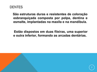 DENTES
São estruturas duras e resistentes de coloração
esbranquiçada composta por polpa, dentina e
esmalte, implantadas na maxila e na mandíbula.
Estão dispostos em duas fileiras, uma superior
e outra inferior, formando as arcadas dentárias.

7

 