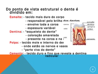Do ponto de vista estrutural o dente é
dividido em:
Esmalte: - tecido mais duro do corpo
- responsável pelo brilho dos dentes
- envolve toda a coroa
- espessura variável
Dentina: - “esqueleto do dente”
- coloração amarelada
- presente na coroa e na raiz
Polpa: - tecido mole e interno do dente
- onde estão os nervos e vasos
- “parte viva do dente”
Cemento: - tecido duro e fino que reveste a dentina
radicular

9

 