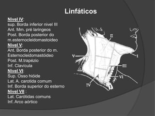 Linfáticos
Nivel IV:
sup. Borda inferior nivel III
Ant. Mm. pré laringeos
Post. Borda posterior do
m.esternocleidomastoideo
Nivel V:
Ant. Borda posterior do m.
Esternocleidomastóideo
Post. M.trapézio
Inf. Clavícula
Nivel VI:
Sup. Osso hióide
Lat. A. carotida comum
Inf. Borda superior do esterno
Nível VII :
Lat. Carótidas comuns
Inf. Arco aórtico
 