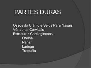 PARTES DURAS
Ossos do Crânio e Seios Para Nasais
Vértebras Cervicais
Estruturas Cartilaginosas
Orelha
Nariz
Laringe
Traquéia
 