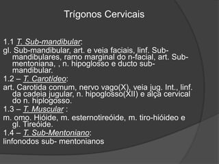 1.1 T. Sub-mandibular:
gl. Sub-mandibular, art. e veia faciais, linf. Sub-
mandibulares, ramo marginal do n-facial, art. Sub-
mentoniana, , n. hipoglosso e ducto sub-
mandibular.
1.2 – T. Carotídeo:
art. Carotida comum, nervo vago(X), veia jug. Int., linf.
da cadeia jugular, n. hipoglosso(XII) e alça cervical
do n. hiplogosso.
1.3 – T. Muscular :
m. omo. Hióide, m. esternotireóide, m. tiro-hióideo e
gl. Tireóide.
1.4 – T. Sub-Mentoniano:
linfonodos sub- mentonianos
Trígonos Cervicais
 