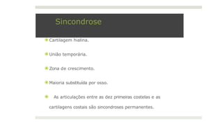 Sincondrose
⦿ Cartilagem hialina.
⦿ União temporária.
⦿ Zona de crescimento.
⦿ Maioria substituída por osso.
⦿ As articulações entre as dez primeiras costelas e as
cartilagens costais são sincondroses permanentes.
 