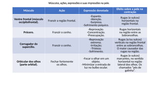 Músculos, ações, expressões e suas impressões na pele.
Músculo Ação Expressão denotada
Efeito sobre a pele na
contração
Ventre frontal (músculo
occipitofrontal).
Franzir a região frontal.
-Espanto.
-Atenção.
-Surpresa.
-Sofrimento psíquico.
Rugas (e sulcos)
horizontais na
região frontal.
Prócero. Franzir o cenho.
-Reprovação.
-Concentração.
-Preocupação.
Rugas horizontais
na região entre as
Sobrancelhas.
Corrugador do
supercílio.
Franzir o cenho.
-Reprovação
extrema;
-Irritação;
-Tristeza;
-Sofrimento.
Rugas (e/ou sulcos)
verticais na região frontal
entre as sobrancelhas.
O maior causador das
rugas na região.
Orbicular dos olhos
(parte orbital).
Fechar fortemente
os olhos.
-Focar o olhar em um
objeto.
-Minimizar a entrada de
luz no bulbo ocular.
Rugas (e sulcos)
marcantes, no sentido
horizontal na região
lateral dos olhos. Os
chamados “pés de
galinha”.
 