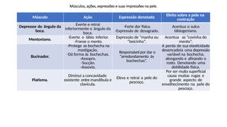 Músculos, ações, expressões e suas impressões na pele.
Músculo Ação Expressão denotada Efeito sobre a pele na
contração
Depressor do ângulo da
boca.
Everte e retrai
inferiormente o ângulo da
boca.
-Forte dor física.
-Expressão de desagrado.
Acentua o sulco
lábiogeniano.
Mentoniano.
-Everte o lábio inferior.
-Franze o mento.
Expressão de “manha ou
“beicinho”.
Acentua as “covinha do
mento”.
Bucinador.
-Protege as bochecha na
mastigação.
-Dá forma às bochechas.
-Assopro.
-Sucção.
-Assovio.
Responsável por dar o
“arredondamento às
bochechas”.
A perda de sua elasticidade
desencadeia uma depressão
variável na bochecha,
alongando e afinando o
rosto. Denotando uma
debilidade física.
Platisma.
Diminui a concavidade
existente entre mandíbula e
clavicula.
Eleva e retrai a pele do
pescoço.
Por ser muito superficial
causa muitas rugas e
grande aspecto de
envelhecimento na pele do
pescoço.
 