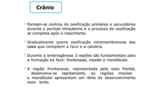  Formam-se centros de ossificação primários e secundários
durante o período intrauterino e o processo de ossificação
se completa após o nascimento.
 Gradualmente ocorre ossificação intramembranosa dos
ossos que compõem a face e a calvária.
 Durante a embriogênese 3 regiões são fundamentais para
a formação da face: frontonasal, maxilar e mandibular.
 A região frontonasal, representada pelo osso frontal,
desenvolve-se rapidamente, as regiões maxilar
e mandibular apresentam um ritmo de desenvolvimento
mais lento.
Crânio
 