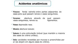 Acidentes anatômicos
 Fissura: fenda estreita entre partes adjacentes de
ossos pela qual passam nervos e vasos sanguíneos.
 Forame: abertura através da qual passam
vasos sanguíneos, nervos ou ligamentos.
 Fossa: depressão rasa.
 Meato: abertura tubular.
 Sutura: é uma articulação imóvel (que mantém a maioria
dos ossos do crânio unidos).
 Seio: cavidades revestidas por mucosa e preenchidas por
ar (se alojam em alguns ossos do crânio).
 