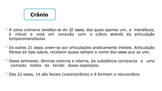  A caixa craniana constitui-se de 22 ossos, dos quais apenas um, a mandíbula,
é móvel e está em conexão com o crânio através da articulação
temporomandibular.
 Os outros 21 ossos unem-se por articulações praticamente imóveis. Articulação
fibrosa do tipo sutura, recebem quase sempre o nome dos ossos que as une.
 Ossos laminares: lâminas externa e interna, de substância compacta e uma
camada média de tecido ósseo esponjoso.
 Dos 22 ossos, 14 são faciais (viscerocrânio) e 8 formam o neurocrânio.
Crânio
 
