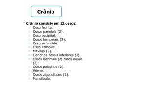  Crânio consiste em 22 ossos:
o Osso frontal.
o Ossos parietais (2).
o Osso occipital.
o Ossos temporais (2).
o Osso esfenoide.
o Osso etmoide.
o Maxilas (2).
o Conchas nasais inferiores (2).
o Ossos lacrimais (2) ossos nasais
(2).
o Ossos palatinos (2).
o Vômer.
o Ossos zigomáticos (2).
o Mandíbula.
Crânio
 