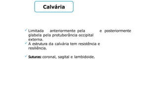 Calvária
 Limitada anteriormente pela
glabela pela protuberância occipital
externa.
e posteriormente
 A estrutura da calvária tem resistência e
resiliência.
 Suturas: coronal, sagital e lambidoide.
 