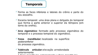 Temporais
 Forma as faces inferiores e laterais do crânio e parte do
seu assoalho.
 Escama temporal: uma área plana e delgada do temporal
que forma a parte anterior e superior da têmpora (em
torno da orelha).
 Arco zigomático: formado pelo processo zigomático do
temporal e o processo temporal do zigomático.
 Fossa mandibular: localizada na superfície
posteroinferior
do processo zigomático.
 Tubérculo articular: elevação arredondada
anteriormente
 