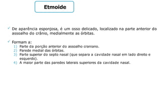 Etmoide
 De aparência esponjosa, é um osso delicado, localizado na parte anterior do
assoalho do crânio, medialmente as órbitas.
 Formam a:
1) Parte da porção anterior do assoalho craniano.
2) Parede medial das órbitas.
3) Parte superior do septo nasal (que separa a cavidade nasal em lado direito e
esquerdo).
4) A maior parte das paredes laterais superiores da cavidade nasal.
 