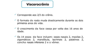 Viscerocrânio
 Corresponde aos 2/3 do crânio.
 O formato do rosto muda drasticamente durante os dois
primeiros anos de vida.
 O crescimento da face cessa por volta dos 16 anos de
idade.
 Os 14 ossos da face incluem: ossos nasais 2, maxilas 2,
zigomáticos 2, mandíbula, lacrimais 2, palatinos 2,
concha nasais inferiores 2 e o vômer.
 