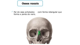 Ossos nasais
 Par de osso achatados com forma retangular que
forma a ponte do nariz.
 