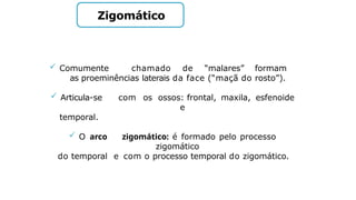 Zigomático
 Comumente chamado de “malares” formam
as proeminências laterais da face (“maçã do rosto”).
 Articula-se com os ossos: frontal, maxila, esfenoide
e
temporal.
 O arco zigomático: é formado pelo processo
zigomático
do temporal e com o processo temporal do zigomático.
 