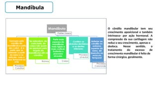 Mandíbula
O côndilo mandibular tem seu
crescimento aposicional e também
intrínseco- por ação hormonal. A
compressão da sua cartilagem não
reduz o seu crescimento, apenas o
desloca. Nesse sentido, o
tratamento do excesso de
crescimento mandibular é feito de
forma cirúrgica, geralmente.
 