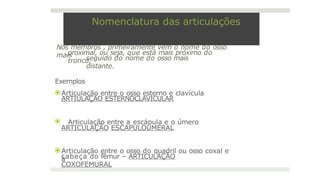 Nomenclatura das articulações
Nos membros , primeiramente vem o nome do osso
mais
proximal, ou seja, que está mais próximo do
tronco,
seguido do nome do osso mais
distante.
Exemplos
⦿Articulação entre o osso esterno e clavícula
–
ARTIULAÇÃO ESTERNOCLAVICULAR
⦿ Articulação entre a escápula e o úmero
ARTICULAÇÃO ESCAPULOUMERAL
⦿Articulação entre o osso do quadril ou osso coxal e
a
cabeça do fêmur – ARTICULAÇÃO
COXOFEMURAL
 