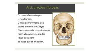 Articulações fibrosas
Os ossos são unidos por
tecido fibroso.
O grau de movimento que
ocorre em uma articulação
fibrosa depende, na maioria dos
casos, do comprimento das
fibras que unem
os ossos que se articulam.
 