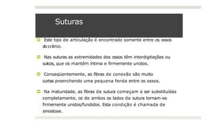 Suturas
🞑 Este tipo de articulação é encontrado somente entre os ossos
do crânio.
🞑 Nas suturas as extremidades dos ossos têm interdigitações ou
sulcos, que os mantêm íntima e firmemente unidos.
🞑 Conseqüentemente, as fibras de conexão são muito
curtas preenchendo uma pequena fenda entre os ossos.
🞑 Na maturidade, as fibras da sutura começam a ser substituídas
completamente, os de ambos os lados da sutura tornam-se
firmemente unidos/fundidos. Esta condição é chamada de
sinostose.
 