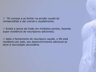  TN começa a se fechar na porção caudal do
rombencéfalo e daí cranial e caudalmente;
 Existe a teoria da fusão em múltiplos pontos, fazendo
supor existência de neuróporos adicionais;
 Após o fechamento do neuróporo caudal, o SN está
recoberto por pele, seu desenvolvimento adicional se
deve à neurulação secundária.
 