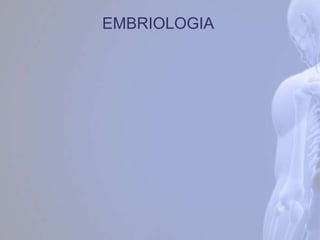 EMBRIOLOGIA
 