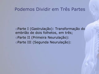 Podemos Dividir em Três Partes
Parte I (Gastrulação): Transformação do
embrião de dois folhetos, em três;
Parte II (Primeira Neurulação):
Parte III (Segunda Neurulação):
 