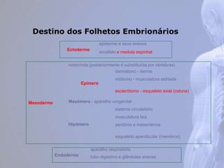 Destino dos Folhetos Embrionários
Ectoderme
epiderme e seus anexos
encéfalo e medula espinhal
Mesoderme
notocorda (posteriormente é substibuída por vértebras)
Epímero
dermátono - derme
miótomo - musculatura estriada
esclerótomo - esqueleto axial (coluna)
Mesômero - aparelho urogenital
Hipômero
sistema circulatório
musculatura lisa
peritônio e mesentérios
esqueleto apendicular (membros)
Endoderme
aparelho respiratório
tubo digestivo e glândulas anexas
 