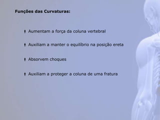 Funções das Curvaturas:
 Aumentam a força da coluna vertebral
 Auxiliam a manter o equilíbrio na posição ereta
 Absorvem choques
 Auxiliam a proteger a coluna de uma fratura
 