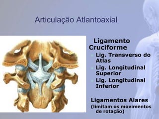 Articulação Atlantoaxial
Ligamento
Cruciforme
 Lig. Transverso do
Atlas
 Lig. Longitudinal
Superior
 Lig. Longitudinal
Inferior
Ligamentos Alares
(limitam os movimentos
de rotação)
 