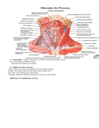a) Sub-occipital: é oblíquo e transverso e se divide em reto posterior maior e menor
-ação: faz extensão e rotação da cabeça.
- inervação: feita pelos nervos espinais.
b) Esplênio da cabeça e pescoço:
-origem: linha nucal e processo espinhoso das seis vértebras cervicais.
-inserção: face lateral do processo mastóide e lateral da linha nucal.
-ação: flete e roda a cabeça para o mesmo lado.
- inervação: feita pelos ramos dorsais dos nervos espinais cervicais médios.
MÚSCULOS DA EXPRESSÃO FACIAL:
 