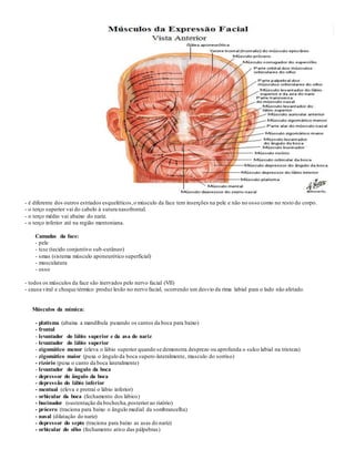 - é diferente dos outros estriados esqueléticos,o músculo da face tem inserções na pele e não no osso como no resto do corpo.
- o terço superior vai do cabelo á sutura nasofrontal.
- o terço médio vai abaixo do nariz.
- o terço inferior até na região mentoniana.
Camadas da face:
- pele
- tcsc (tecido conjuntivo sub-cutâneo)
- smas (sistema músculo aponeurótico superficial)
- musculatura
- osso
- todos os músculos da face são inervados pelo nervo facial (VII)
- causa viral e choque térmico produz lesão no nervo facial, ocorrendo um desvio da rima labial para o lado não afetado.
Músculos da mímica:
- platisma (abaixa a mandíbula puxando os cantos da boca para baixo)
- frontal
- levantador do lábio superior e da asa do nariz
- levantador do lábio superior
- zigomático menor (eleva o lábio superior quando se demonstra desprezo ou aprofunda o sulco labial na tristeza)
- zigomático maior (puxa o ângulo da boca supero-lateralmente, musculo do sorriso)
- rizório (puxa o canto da boca lateralmente)
- levantador do ângulo da boca
- depressor do ângulo da boca
- depressão do lábio inferior
- mentual (eleva e protrai o lábio inferior)
- orbicular da boca (fechamento dos lábios)
- bucinador (sustentação da bochecha,posteriorao rizório)
- prócero (traciona para baixo o ângulo medial da sombrancelha)
- nasal (dilatação do nariz)
- depressor do septo (traciona para baixo as asas do nariz)
- orbicular do olho (fechamento ativo das pálpebras)
 