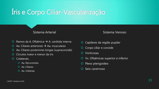 Íris e Corpo Ciliar-Vascularização
Sistema Arterial
 Ramos da A. Oftálmica  A. carótida interna
 Aa. Ciliares anteriores  Aa. musculares
 Aa. Ciliares posteriores longas (supracoroide)
 Círculos maior e menor da íris
 Colaterais:
 Aa. Recorrentes
 Aa. Ciliares
 Aa. iridianas
Sistema Venoso
 Capilares da região pupilar
 Corpo ciliar e coroide
 Vorticosas
 Vv. Oftalmicas superior e inferior
 Plexo pterigoideo
 Seio cavernoso
CENOFT- Residencia 2016 15
 