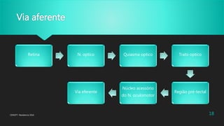 Via aferente
Retina N. optico Quiasma optico Trato optico
Região pré-tectal
Núcleo acessório
do N. oculomotor
Via eferente
CENOFT- Residencia 2016 18
 