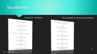 Via eferente
Simpática- midríase Parassimpática-miose/acomodação
CENOFT- Residencia 2016
19
 