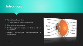 Introdução
 Túnica Vascular do olho
 Trato uveal: íris, corpo ciliar e coroide
 Diafragma e acomodação
 Divide o segmento anterior em câmaras anterior
e posterior
 Origem embriológica: neuroectoderma e
mesênquima
CENOFT- Residencia 2016 2
 